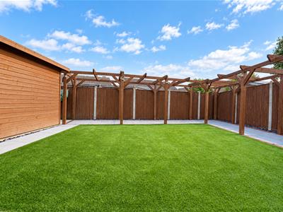 Picture 36